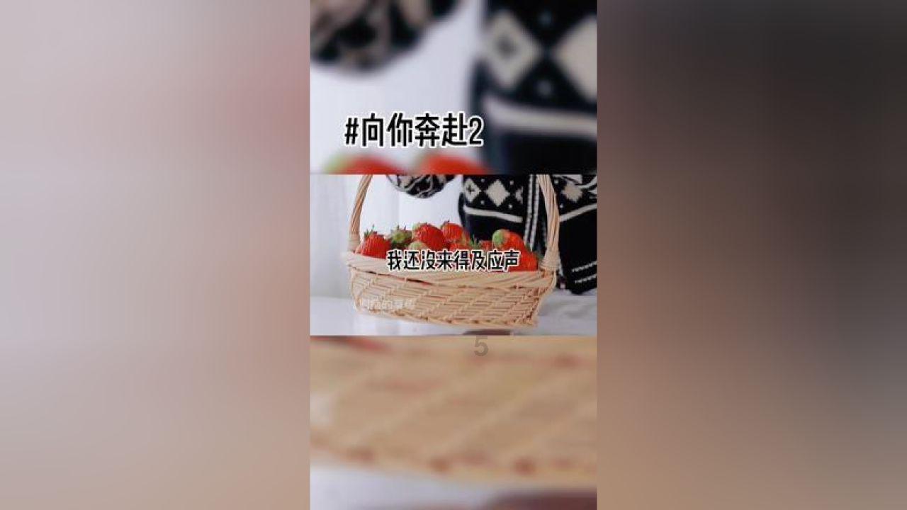 俄罗斯中选委邀请95国人员观察俄总统选举