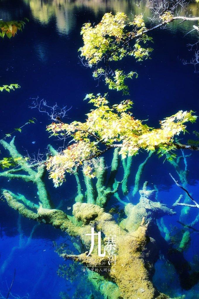 湖南省第十七届生态环境监测从业人员大比武开幕