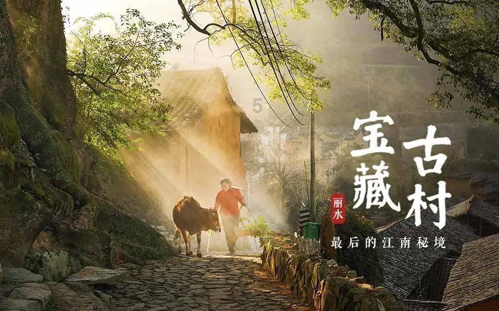 银行板块震荡拉升 农业银行股价刷新历史新高